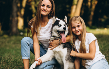 Why Positive Reinforcement Works Best for Pets