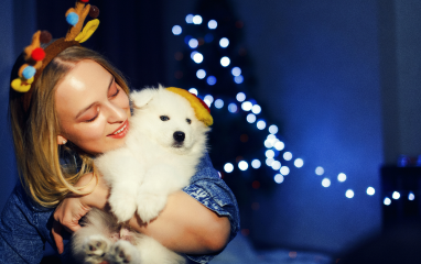 Choosing the Right Food for Your Furry Friend