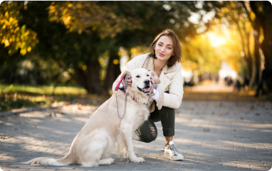 Fun Activities to Do with  How to  Your Pet