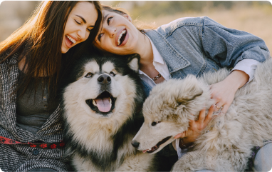 The Importance of Proper Nutrition for Pets