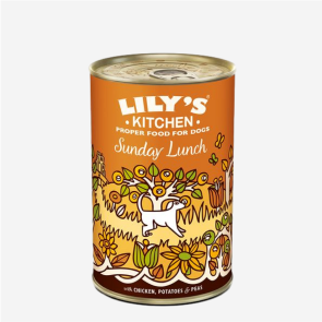 Reversible Pet Blanket